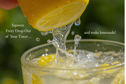 Squeeze Every Drop Out of Your Tutor