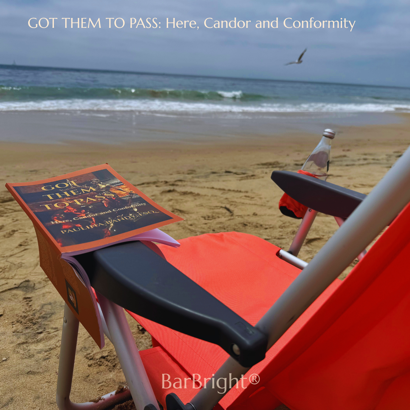 GOT THEM TO PASS is a relaxing read for bar candidates at the beach.